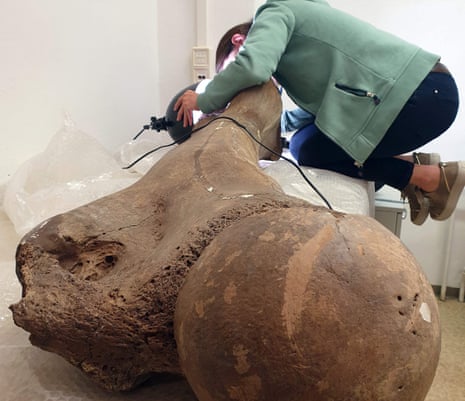 Dr Sabine Gaudzinski-Windheuser examines the femur of a large adult male elephant for the presence of cut marks.