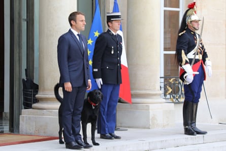 Emmanuel Macron and his dog Nemo