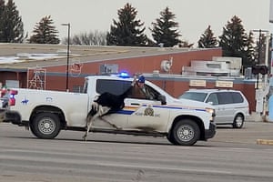 One of a number of escaped ostriches is pursued by a Royal Canadian mounted police vehicle in Taber, Canada