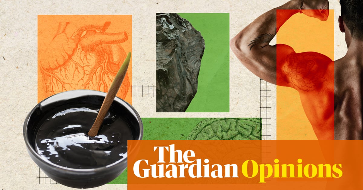 Shilajit: male influencers claim it boosts testosterone and libido, but what does the science say? | Antiviral