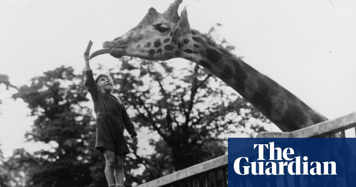 From camels to crocodiles, the first zoo vets had to learn on the job | Letters