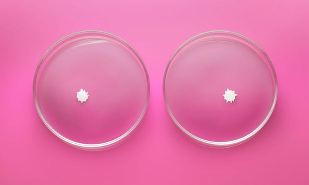 Two Petri dishes against pink background, with a drop of milk in centre of each, looking like nipples on breasts