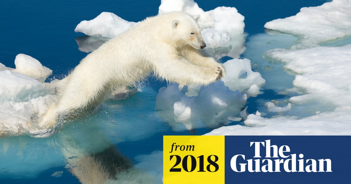 Arctic warming: scientists alarmed by 'crazy' temperature rises