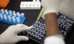 Test tubes and a pipette