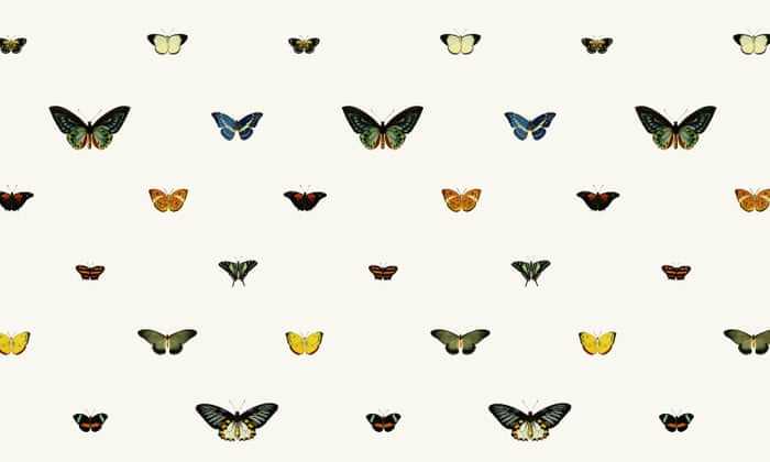 Wes Anderson Gets A Wallpaper Collection Let The Over Decorating Wes Anderson Gets A Wallpaper Collection Let The Over Decorating