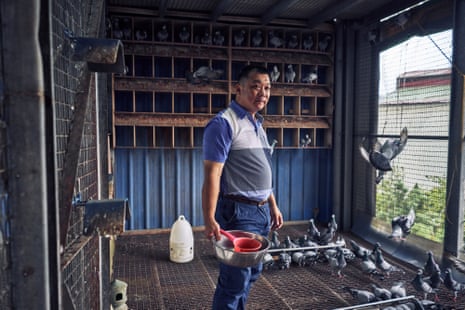 Yunlin, Taiwan - July 18th, 2025Mr. Huang Nai-shun, tending to his pigeons. Photograph by An Rong Xu for The Guardian