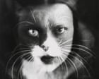The cat that fought Mussolini: how the Wulz photography sisters weaponised the family pet