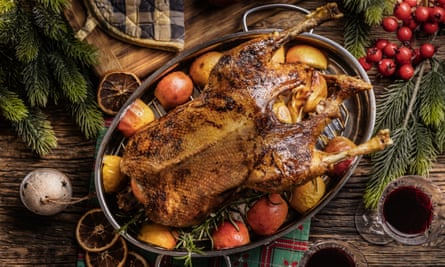Roasted goose with apples and herbs