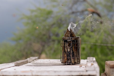 A smoker deters bees while Adam and Dennis Arp work on the hives outside Rye, Arizona on May 8, 2019.