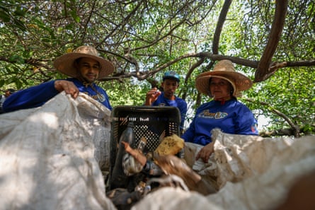 Fishers put plastic rubbish in a bag during a ‘fish your plastic’ expedition in a mangrove on Maracaibo Lake.