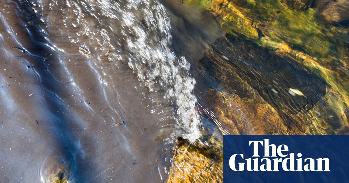 Government failing to stop sewage discharge into English rivers, says charity
