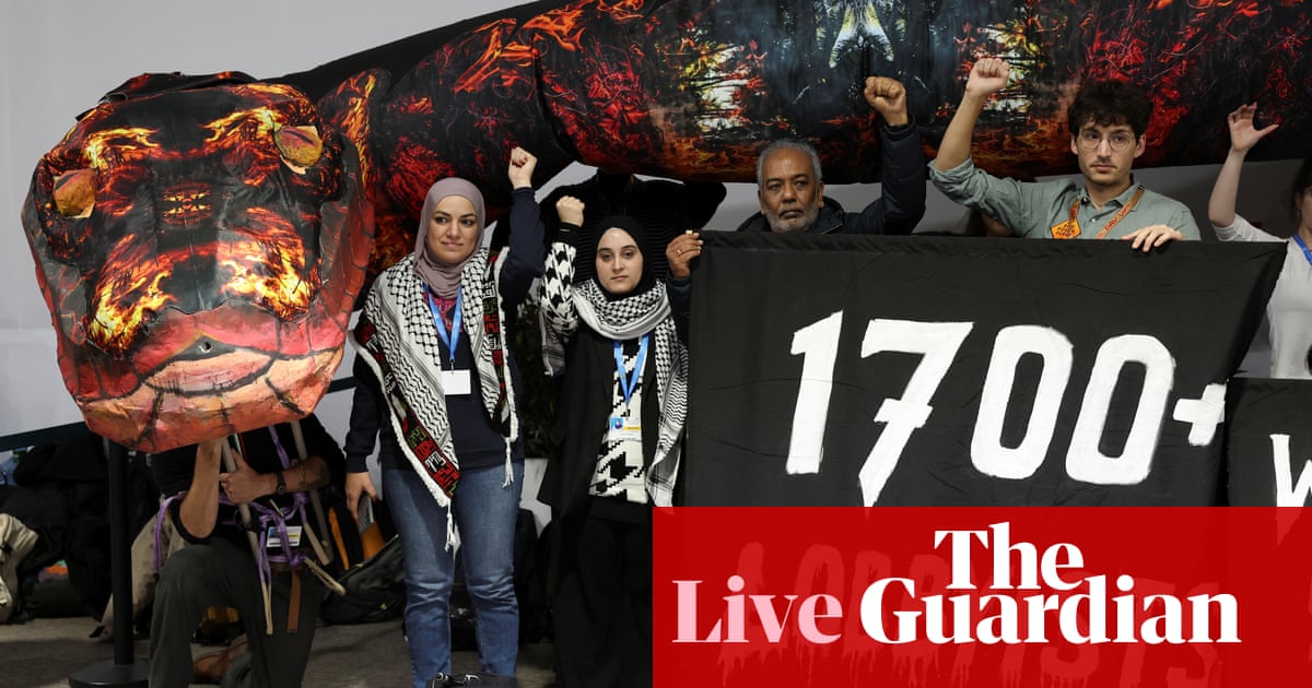 Cop29 live: oil bosses given red carpet treatment at climate summit