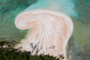 Trunks of fallen trees in shallows of Funafuti atoll