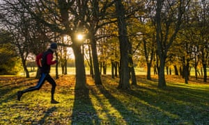 Man running through trees with frost on grass. England, UKDJ1HNY Man running through trees with frost on grass. England, UK