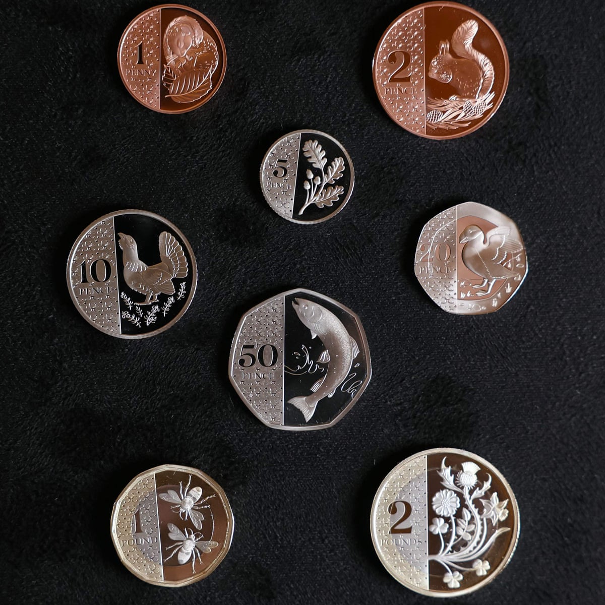UK Royal Mint unveils new nature inspired coins to replace current UK Royal Mint unveils new nature inspired coins to replace current