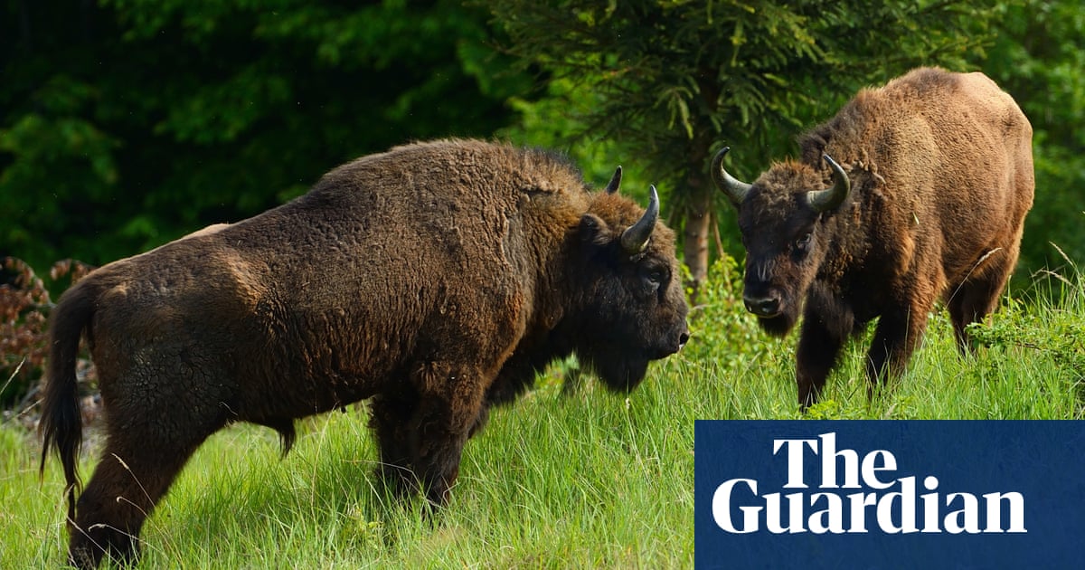 4800.jpg?width=1200&height=630&quality=8