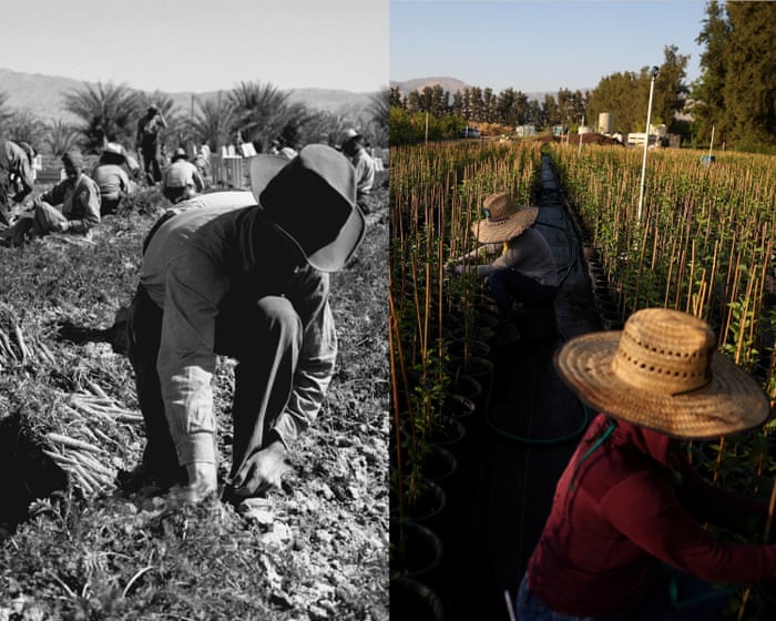 History shows war against immigrants will backfire on all Americans