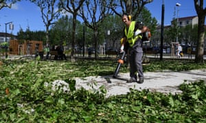 A worker clears up leaves