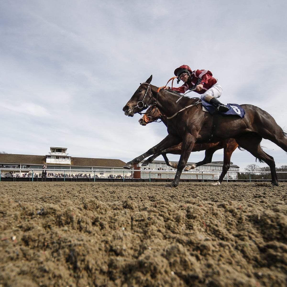 Talking Horses Best Bets From Lingfield As Grand National Looms Sport The Guardian