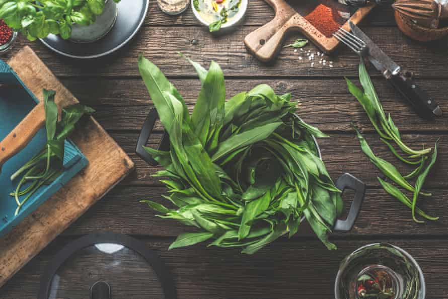 Sharp ... wild garlic leaves.