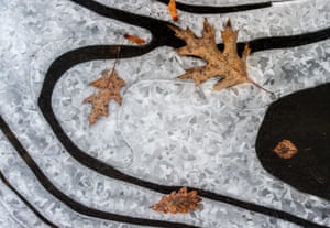 Autumn leaves on a frozen lake in Peitz, Germany as temperatures dropped to minus 12C in the night