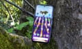 Google Pixel 8a review wedged in a tree showing the Android homescreen.