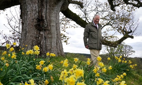 The then Prince of Wales under the ‘Old Sycamore’ in the walled gardens at Dumfries House in April.