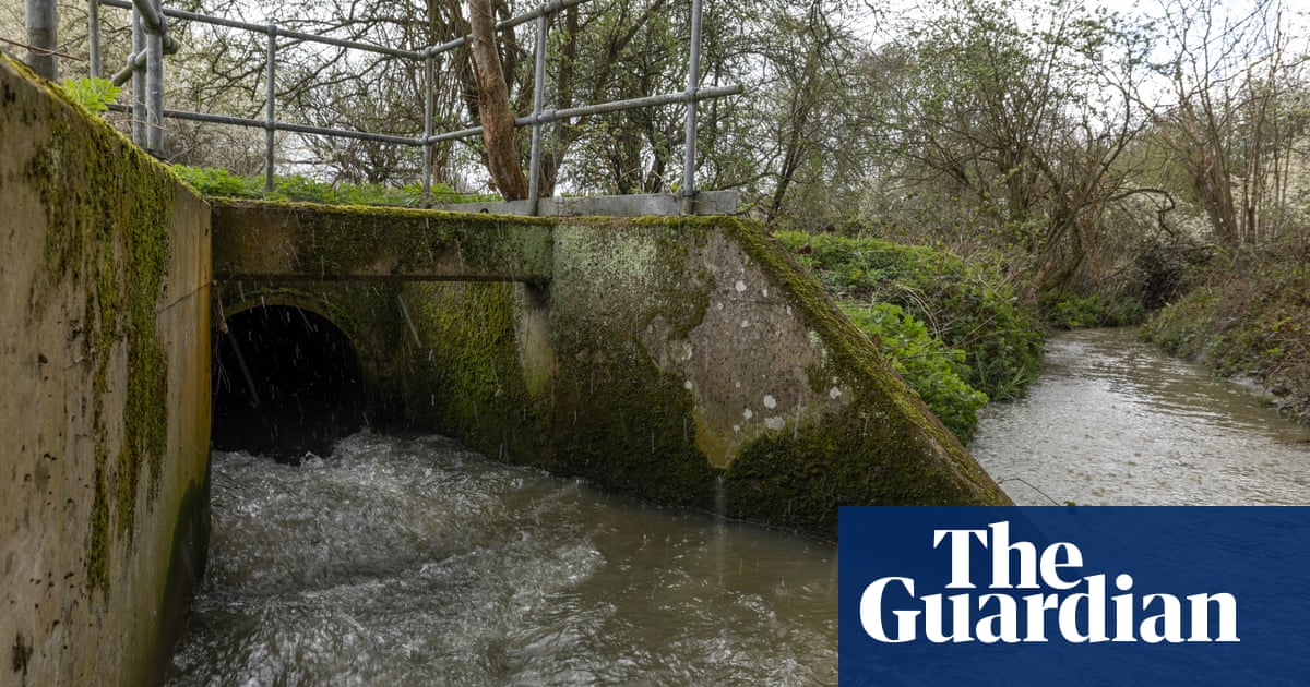 Water companies in England face outrage over record sewage discharges | Water