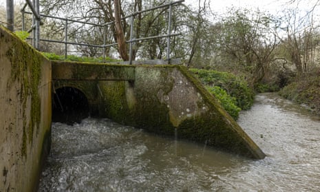 Sewage being discharged into a brook after heavy rainfall