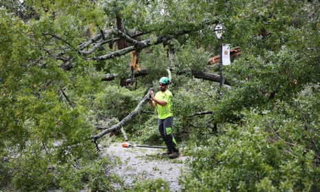 A worker clears a tree downed by Hurricane Ian in Charleston, South Carolina.