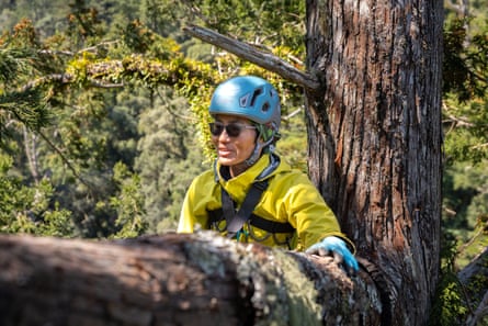 A woman in a climbing helmet and safety harness stands with her arm over a thick tree branch.