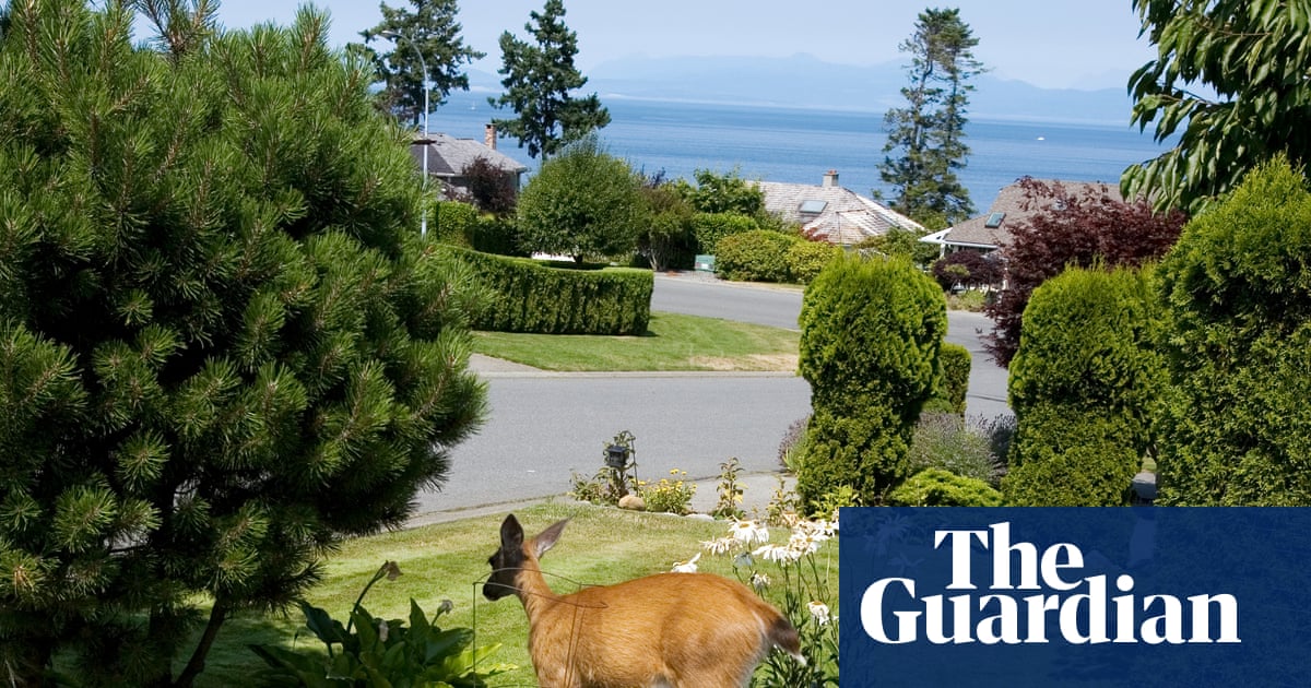 The luxury effect: why you’ll find more wildlife in wealthy areas – and what it means for your health