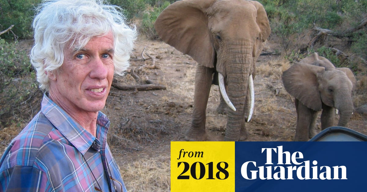 Top ivory investigator murdered in Kenya