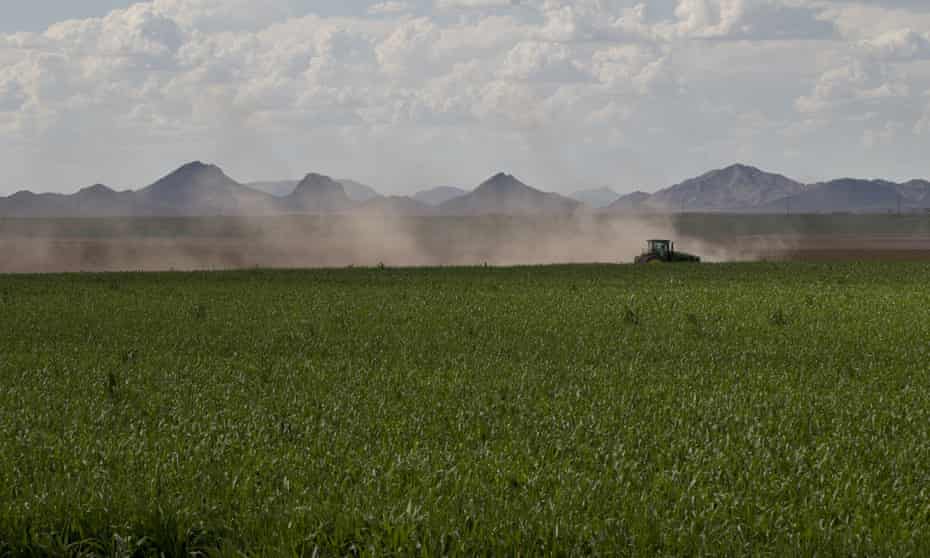 A farm in Arizona. US agricultural exports are worth about $140bn a year. 