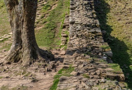 Sycamore Gap, Hadrian’s Wall