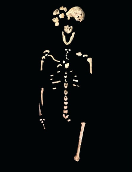 The “Neo” skeleton. Homo naledi stood about 150cm tall fully grown and weighed about 45kg.