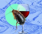 The pest I’ll never forget: the cockroaches were everywhere – even on our wine glasses
