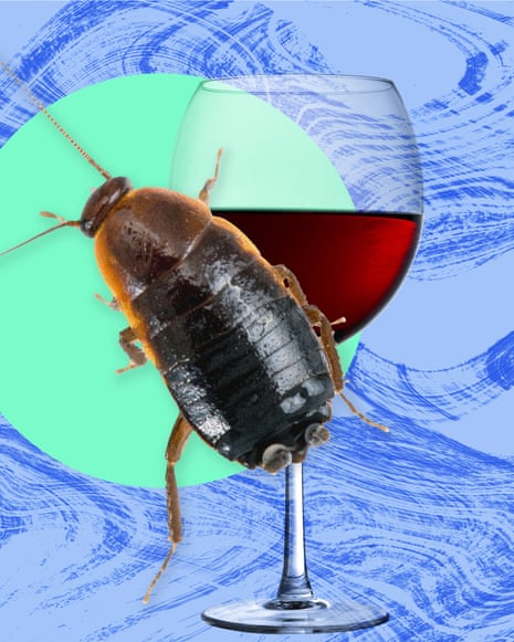 composite of a cockroach and a glass of wine