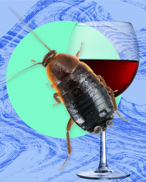 composite of a cockroach and a glass of wine