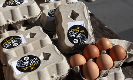 Boxes of eggs are decorated with labels in French that translate as free-range is finished