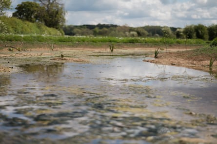 Shallow water seem among farmland