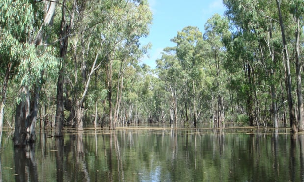 Murray Valley national park