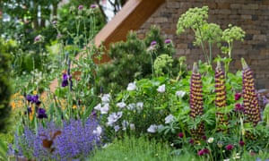 10 cosas que hemos aprendido de el Chelsea flower show de 2017 2 Chris Beardshaw’s garden