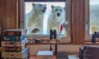 ‘Wonderful experience’: Researcher’s close encounter with Svalbard polar bears