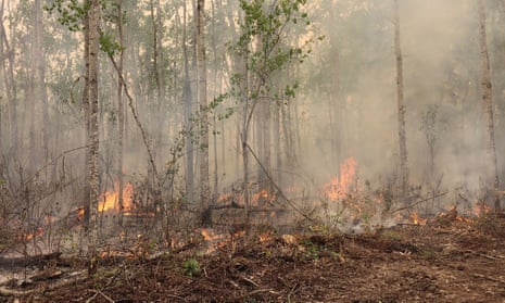 A handout photo made available by Alberta Wildfire showing burning vegetation as firefighting efforts at one of scores of wildfires burning across multiple Canadian Provinces in Sturgeon Lake Cree Nation, Alberta, Canada, 08 June 2023.