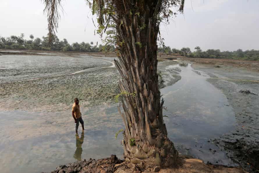 Eric Dooh (pictured standing in the oil-polluted mud of his fish ponds in 2016) would have inherited his father’s bakery, chicken farm and fishing business had it not been for the oil that ran deep beneath his village. (inline)