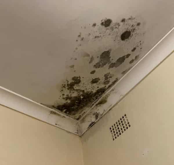A picture of a Sydney renter’s mould problem sent to Greens’ NSW MP Jenny Leong after she put a callout on social media for people to share their experiences.