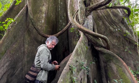 Diego examining a rainforest giant.