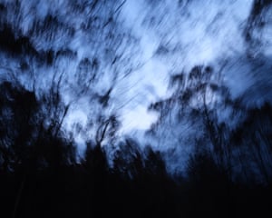 Blurred view of a burnt forest at dusk in Australia