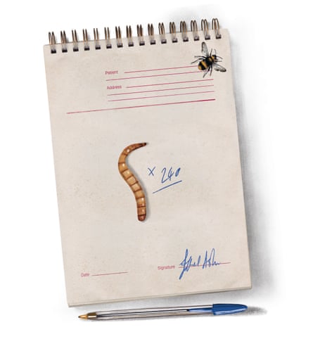 Illustration of a notebook with a picture of a maggot on it